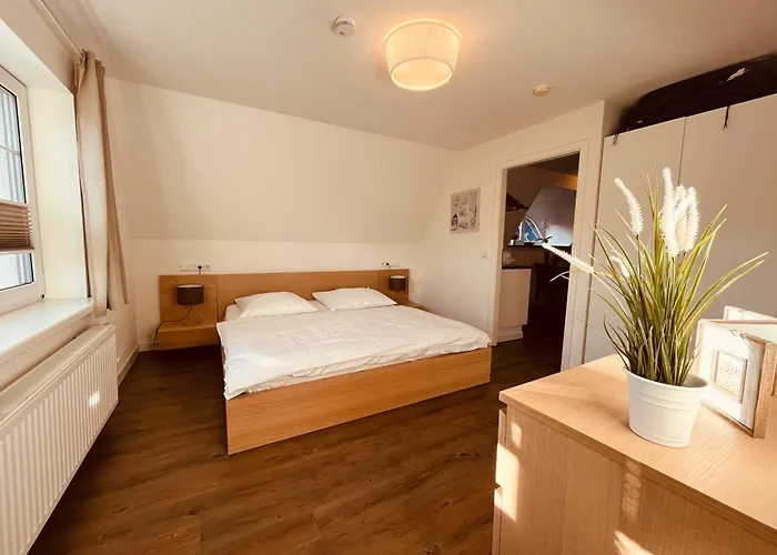 De Olle Leive In Apartamento