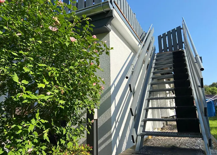 De Olle Leive In Apartamento *