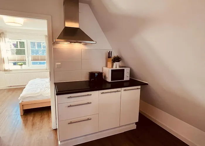 De Olle Leive In * Born